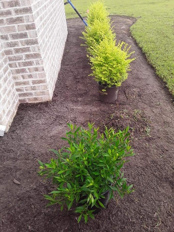 All Photos for Handy Al's Landscaping LLC in Greenville, NC