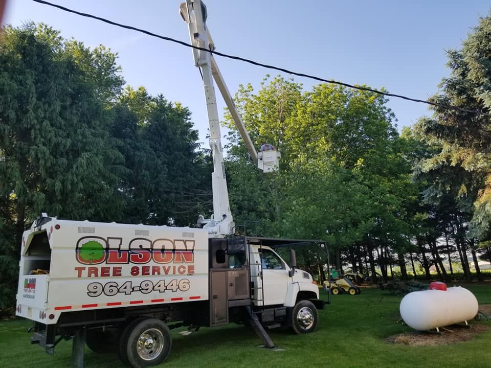 Our Cabling & Bracing service enhances the structural integrity of your trees by installing flexible cables and braces to support weak branches against storms or heavy foliage loads. for Olson Tree Service, Inc in Winnebago County, IL