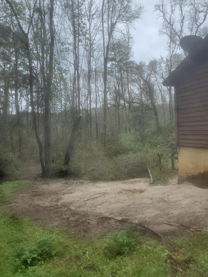 All Photos for Tates Tree Service in Tallahassee, FL