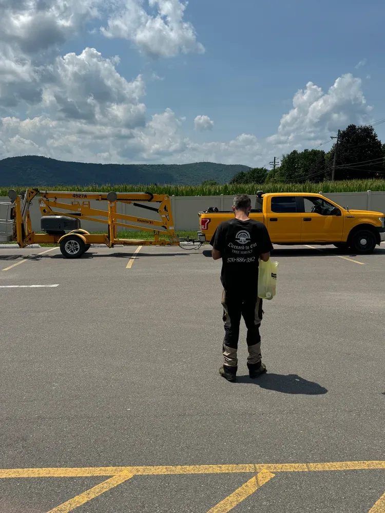 All Photos for Licensed to Cut Tree Service in Athens, PA