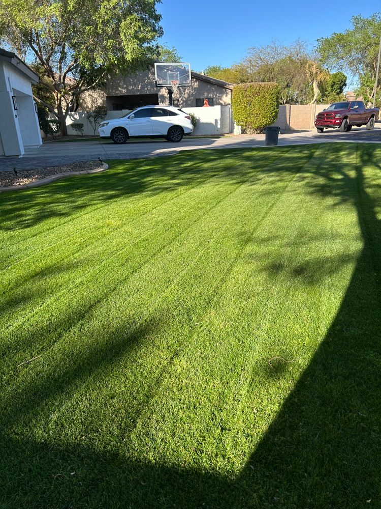 Our mowing services ensure your lawn remains perfectly manicured, enhancing curb appeal and promoting healthy grass growth. Enjoy a neatly trimmed yard with our professional, reliable landscaping experts maintaining your outdoor space. for Revolution Landscape Construction in Mesa, AZ