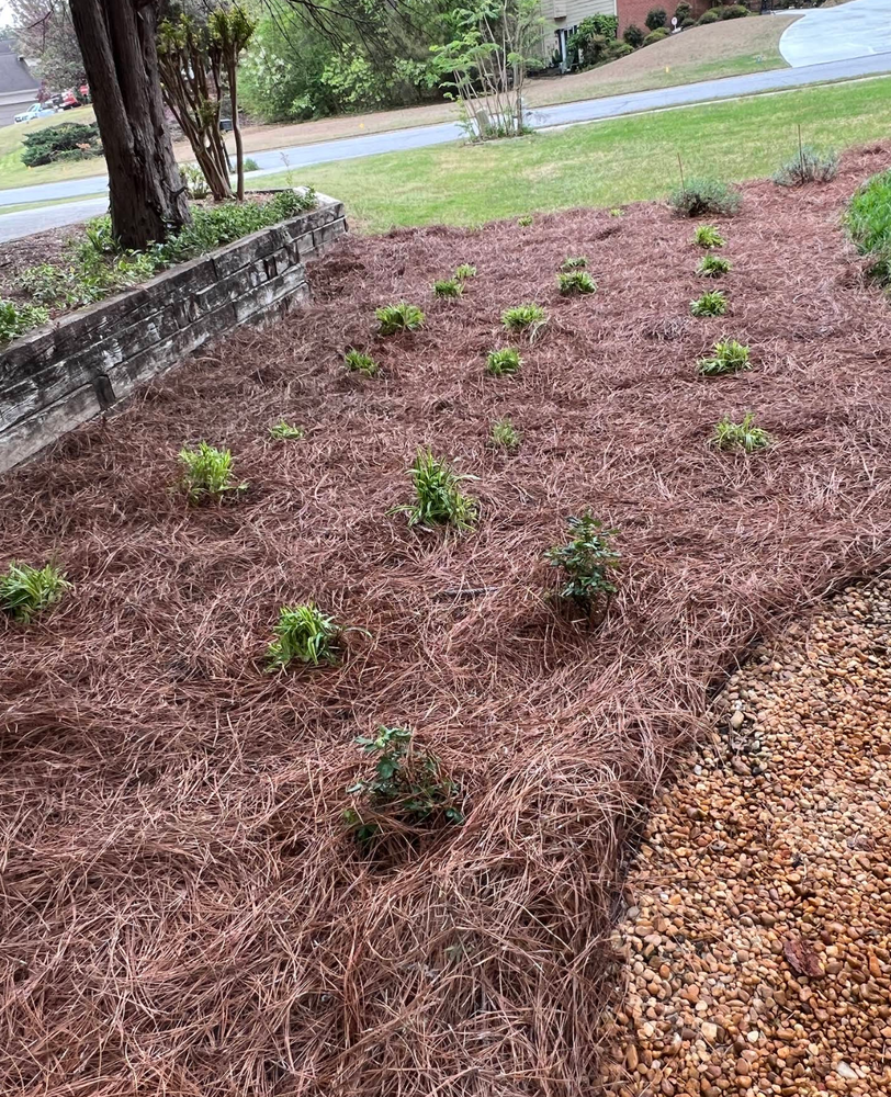 All Photos for Amerigreen Lawn & Landscape in Duluth, GA