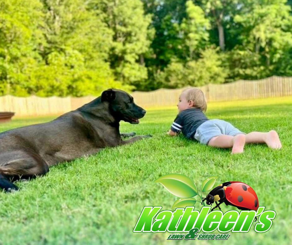 All Photos for Kathleen's Lawn & Shrub Care in Augusta, GA