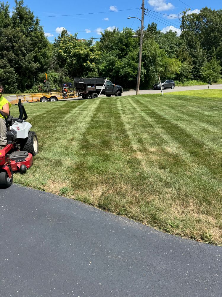 All Photos for Adams Landscaping in Springfield, MA