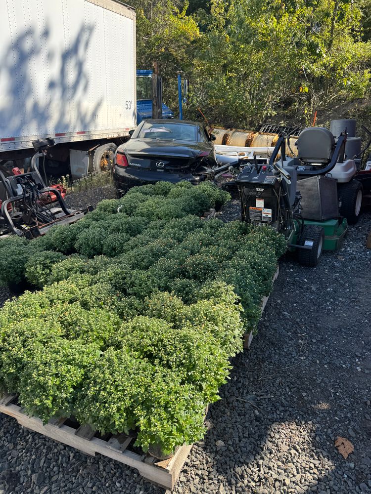 All Photos for Adams Landscaping in Springfield, MA