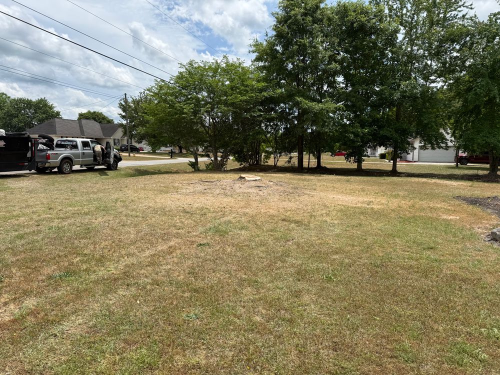All Photos for T N L - Tree and Land Service in Reynolds, GA