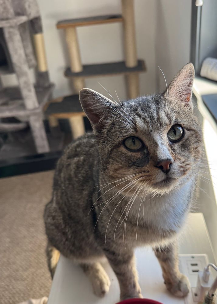 All Photos for Sullivan Sanctuary of Maine in Brunswick, ME