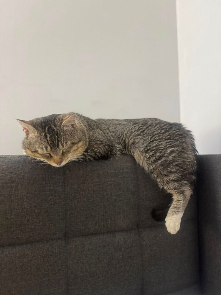 All Photos for Sullivan Sanctuary of Maine in Brunswick, ME