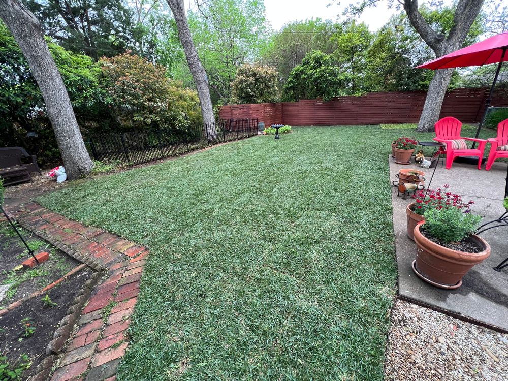 All Photos for Cortez Landscaping Services in Mesquite, TX