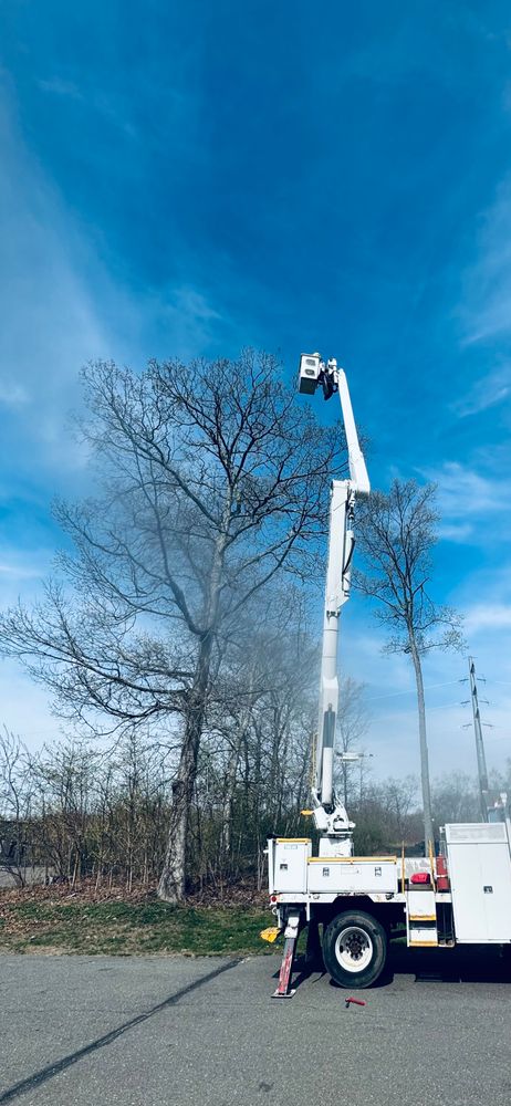 All Photos for Hennessey Tree & Landscape LLC in Oxford,  CT 