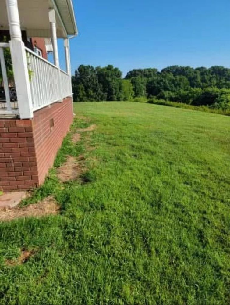 All Photos for Collins Contracting in Moulton, AL