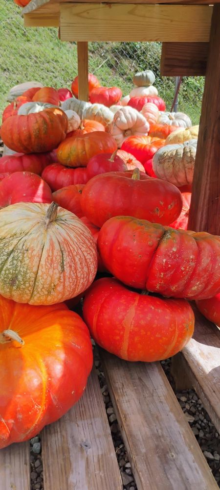 All Photos for Rutledge Contracting LLC in Hazel Green, AL