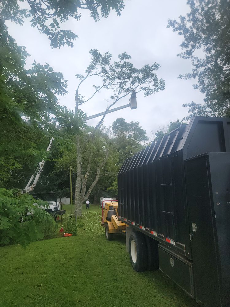All Photos for Lightning Tree Service in Corydon, IN