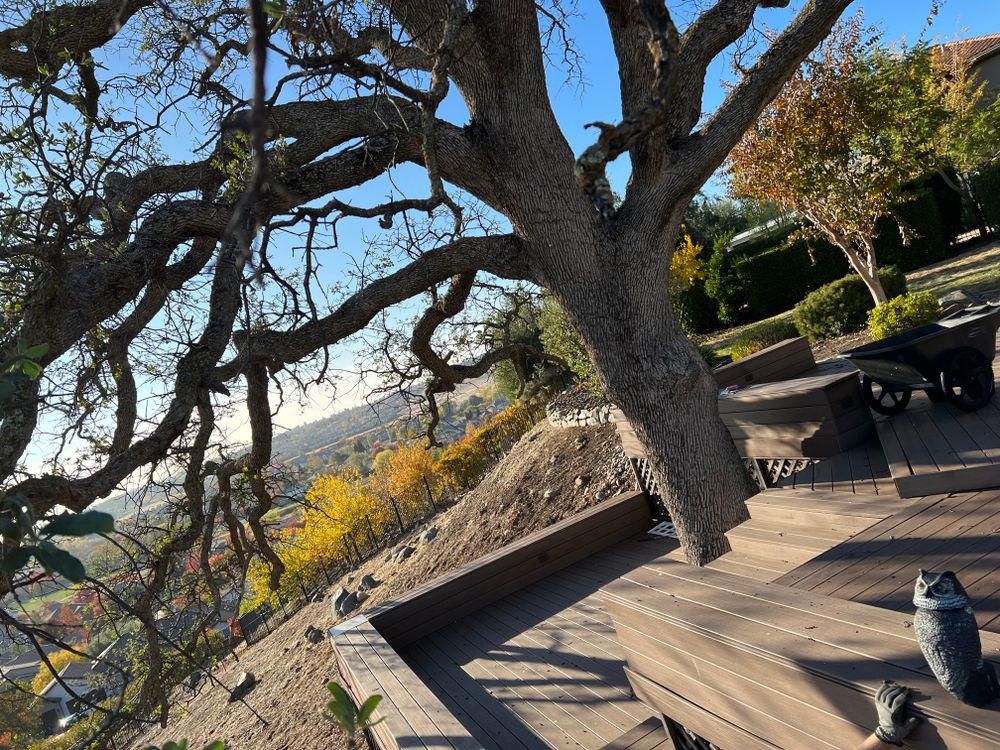 CLEAN UPS for Folsom Lake Landscaping in El Dorado Hills, CA