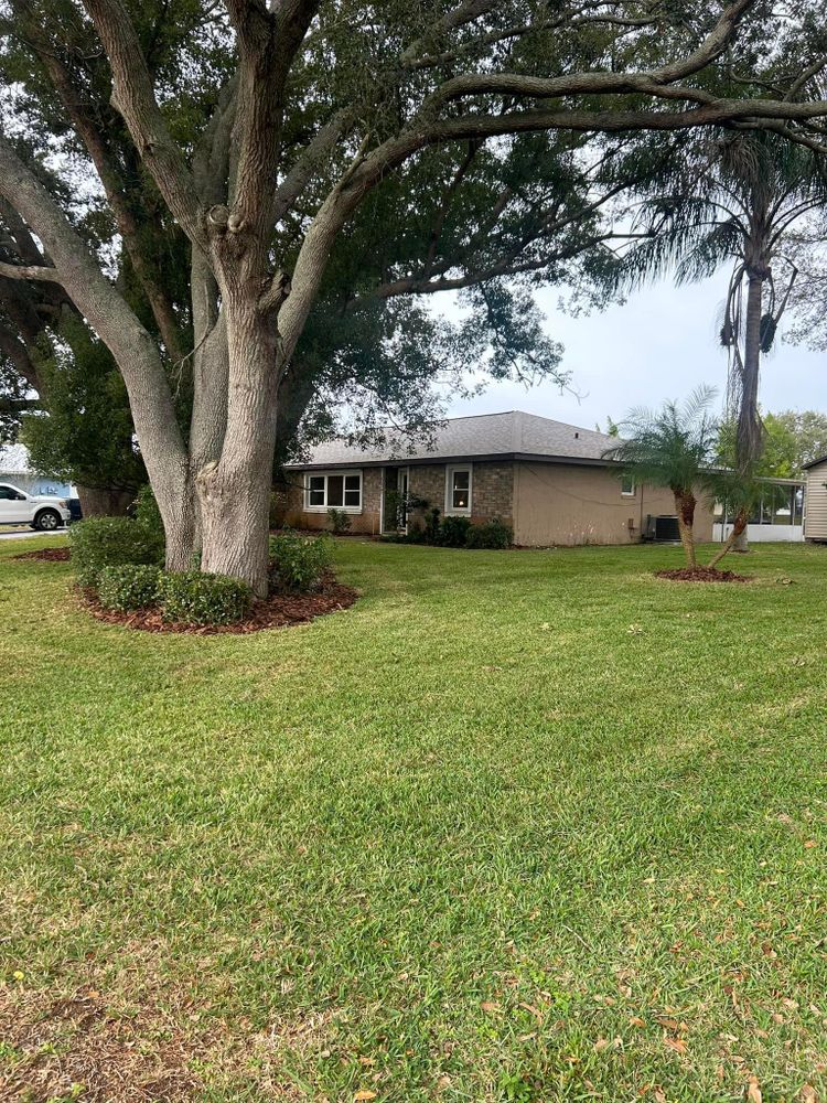 All Photos for Estrada All Pro Lawn Service in Auburndale, Florida