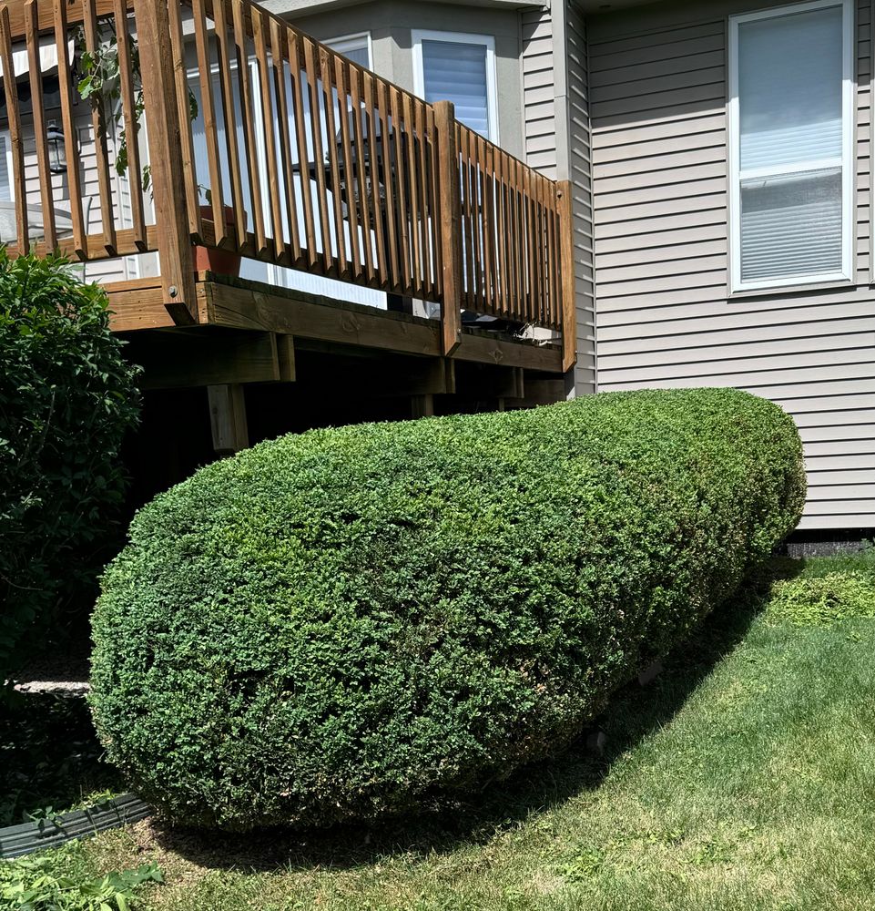 All Photos for Steed's Lawn and Landscape LLC in White Lake, MI