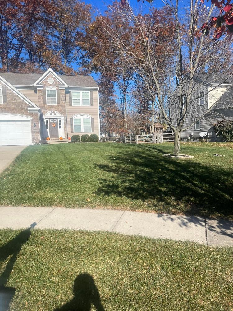 All Photos for Cincinnati’s Finest Landscape Services LLC in Cincinnati, OH