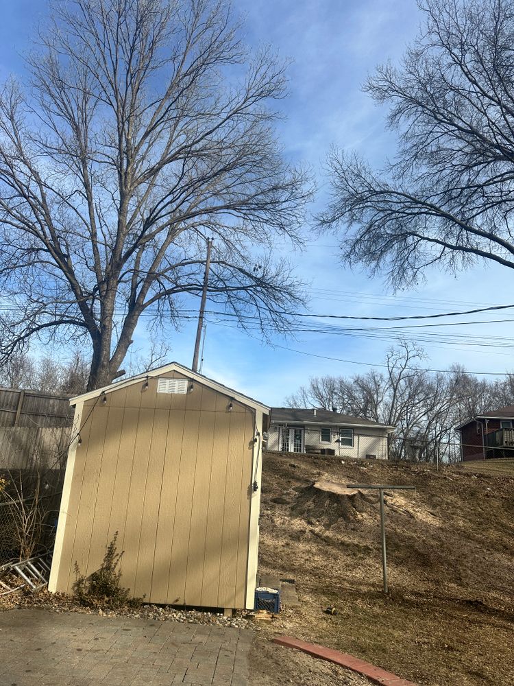 All Photos for Cross Family Tree Service in Kearney, MO