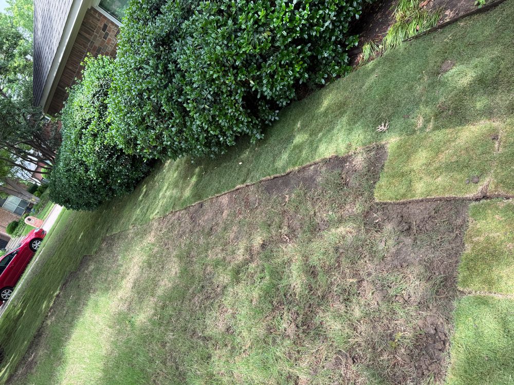 All Photos for Light It Up AV & Turf in Westlake, TX