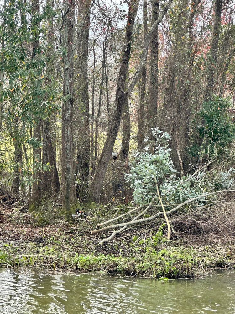 All Photos for Dirty South Land Management  in Robertsdale, AL