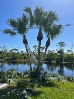 All Photos for Greener Horizons Landscape Management in Port St. Lucie, FL