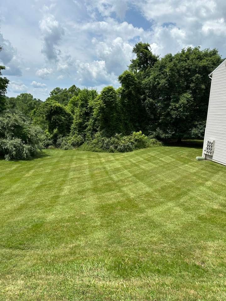 Our Lawn Maintenance service ensures a lush, healthy lawn through regular mowing, edging, fertilization, and weed control. Enjoy a pristine outdoor space with our expert care tailored to your landscape's unique needs. for Twin Peaks Lawn Care  in Front Royal, VA