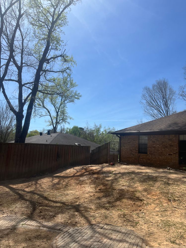 All Photos for JC Land and Tree Service in Kilgore, TX