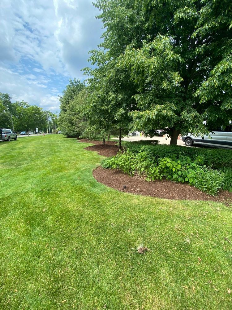 Our Shrub Trimming service enhances curb appeal by expertly shaping and maintaining your shrubs for a lush, tidy appearance, promoting healthy growth while ensuring your landscape looks its absolute best year-round. for Steed's Lawn and Landscape LLC in White Lake, MI