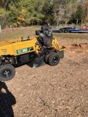 Stump Grinding for Reliable Stump Grinding in Frankston, TX
