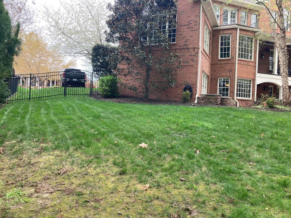 All Photos for Green Horizon Lawncare in North Chesterfield, VA