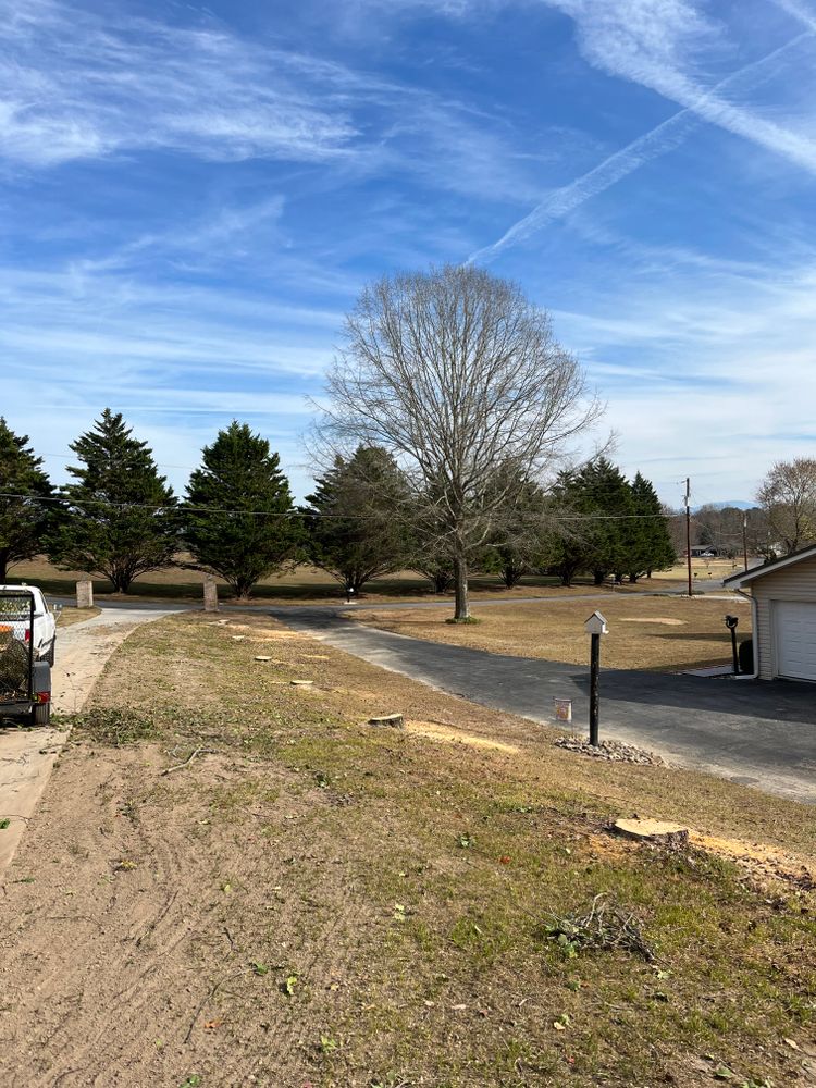 All Photos for SEALY TREE and LAWN in Cleveland, TN