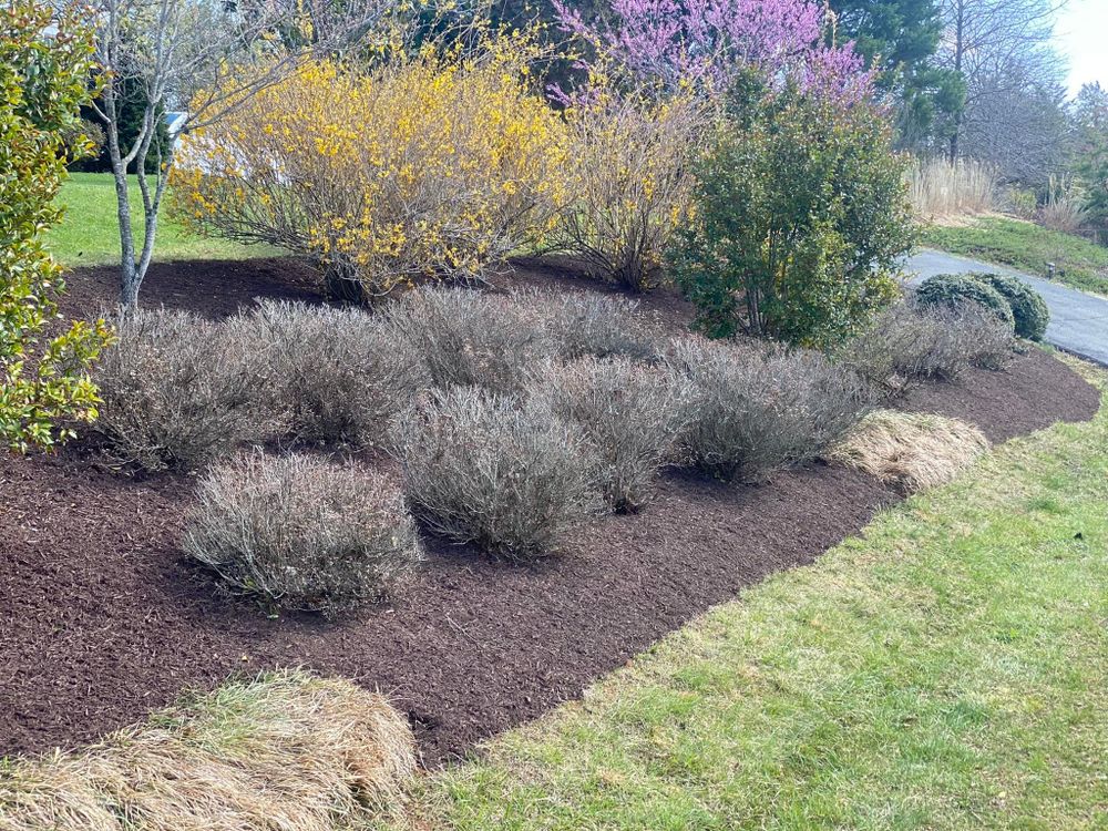 Landscaping for Valencia’s Lawncare in Charlottesville, VA