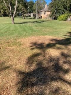 Our stump removal service efficiently eliminates unwanted tree stumps, enhancing your property's appearance and safety. Trust our experienced team for professional, reliable stump grinding that restores your landscape seamlessly. for Reliable Stump Grinding in Frankston, TX