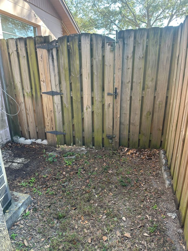 All Photos for The Yardman in Tampa, FL