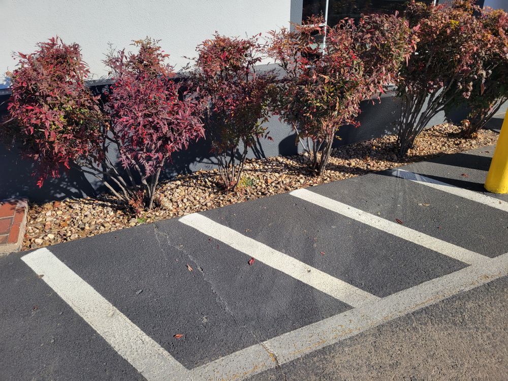 All Photos for R&M Lawn Services in Tulsa, OK