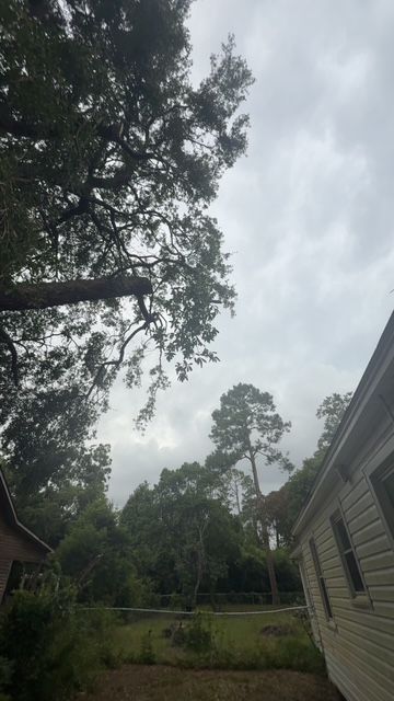 All Photos for Hawkins Tree Service & Land Management in Richmond Hill, GA