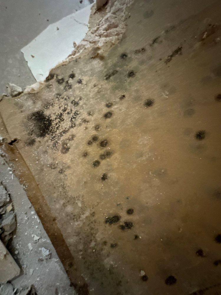 All Photos for CertaClean Restoration in Yonkers, NY