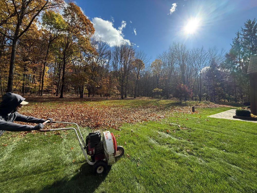 All Photos for Ardisi Property Maintenance LLC in Poughkeepsie, NY 