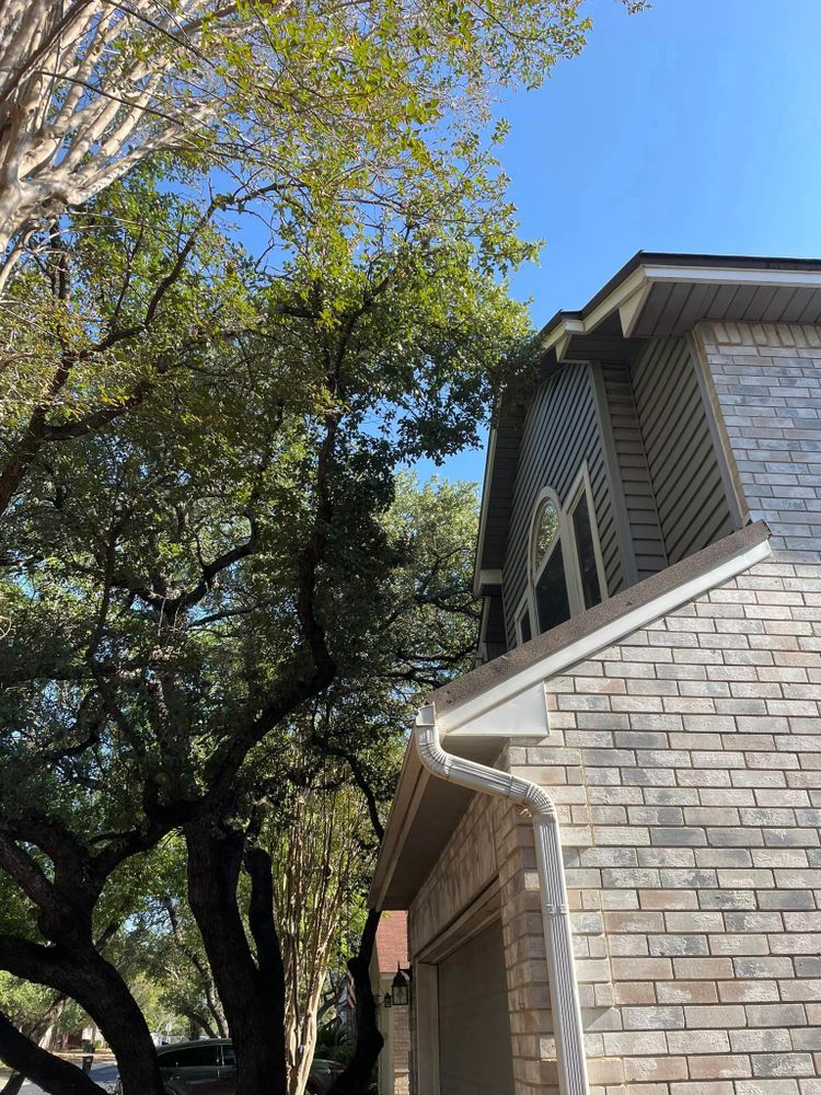 Tree Removal for Z’s Trees LLC in Grey Forest, TX