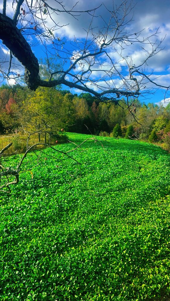 All Photos for Bluff Country Whitetails in Southern Indiana, IN