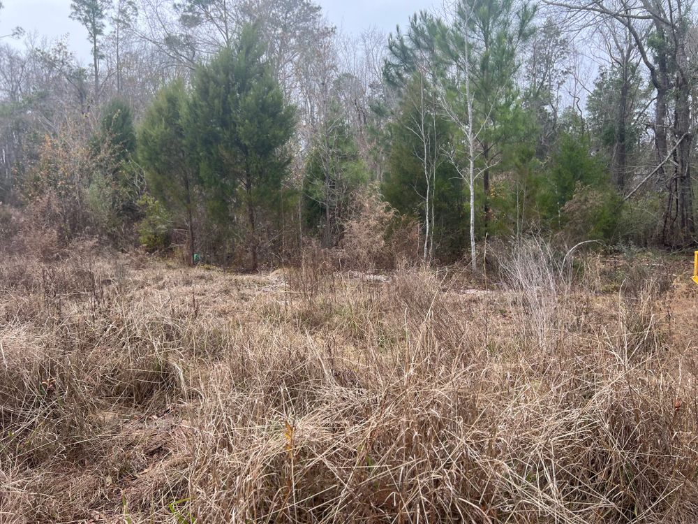 Hauling for Between The Hedges Landscape & Trucking LLC in Altha, FL