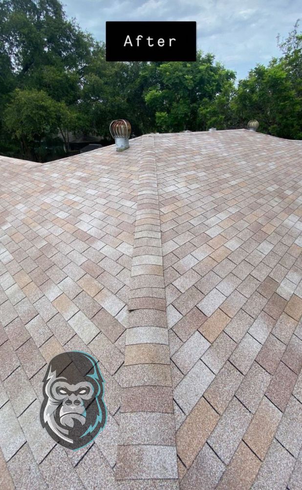 All Photos for Silver King Finishings in Sarasota, FL