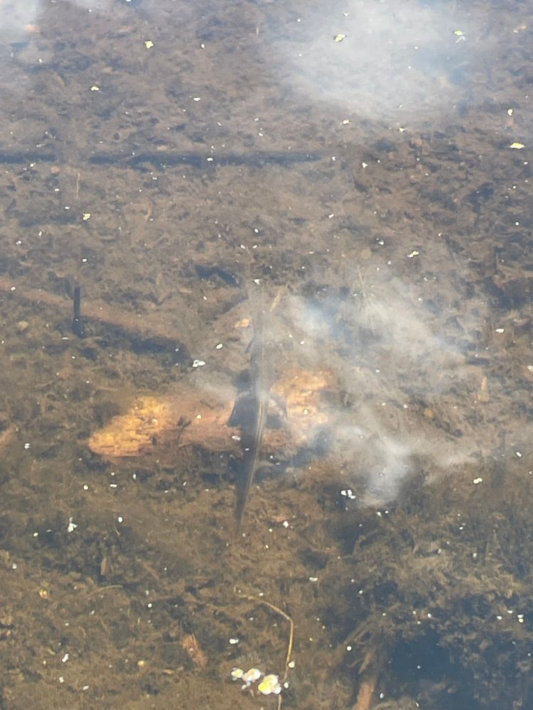 All Photos for Galactic Reiki in Mount Pocono, PA