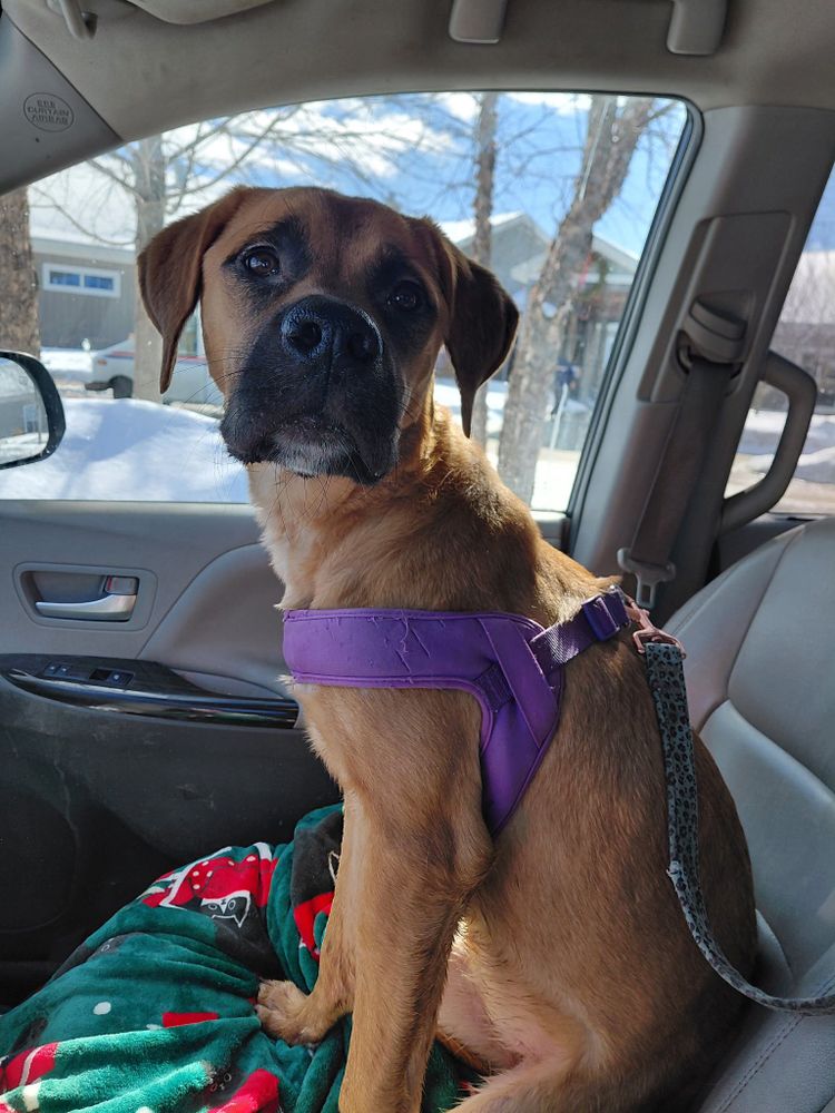 All Photos for Sullivan Sanctuary of Maine in Brunswick, ME