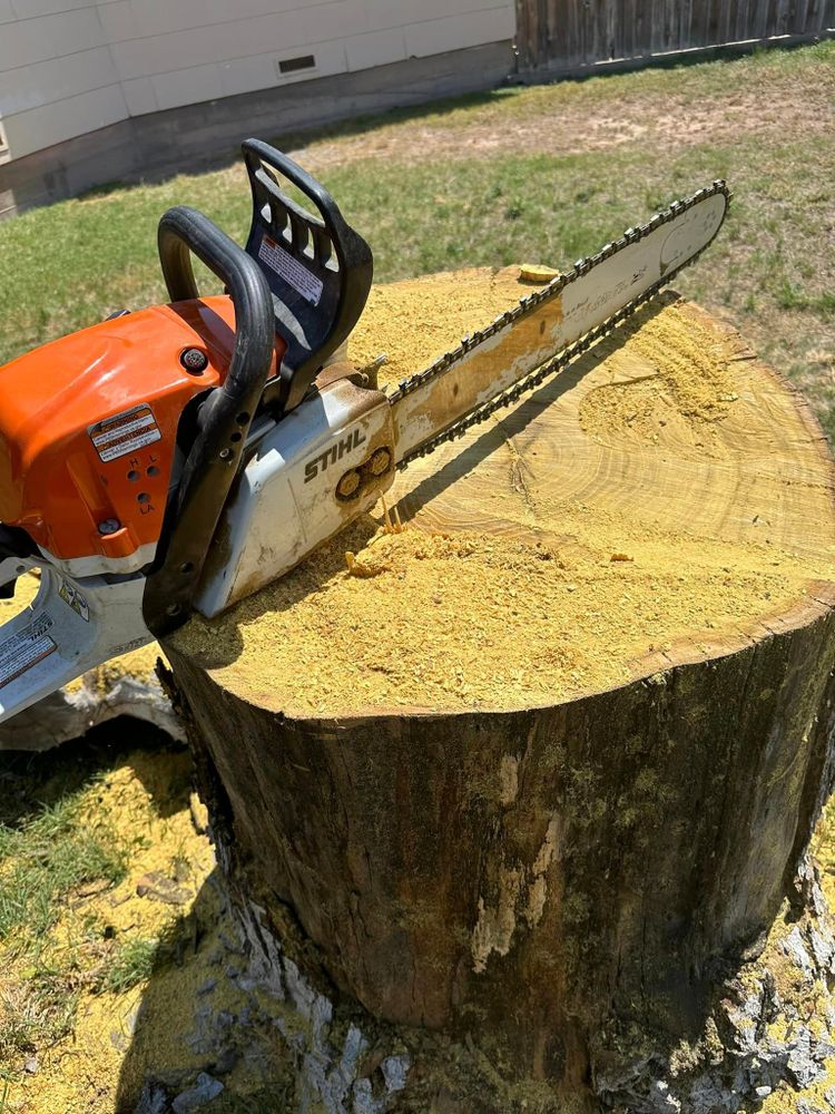 Tree Removal for Compas Cleanup in McCamey, TX