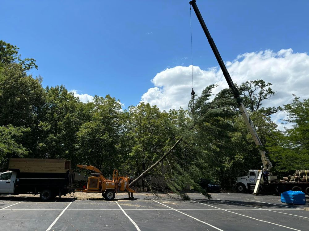 All Photos for JJ Tree Service in Gibsonia, PA