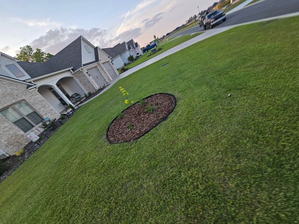 All Photos for Southern Shade Property Service in Ray City, GA