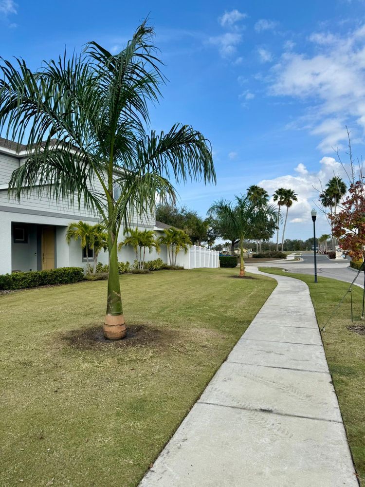 All Photos for Shoreside Property Services in Apollo Beach, FL