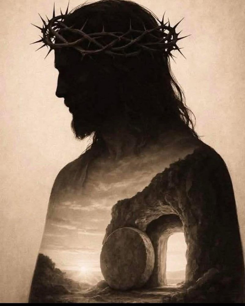 All Photos for Southern Town & Country Fence in Sparta, TN