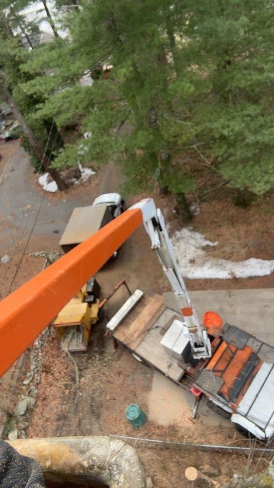 All Photos for Dwights Tree Service in Middleborough, MA